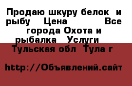 Продаю шкуру белок  и рыбу  › Цена ­ 1 500 - Все города Охота и рыбалка » Услуги   . Тульская обл.,Тула г.